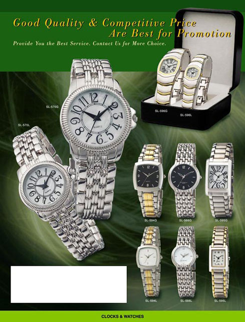  Stainless Steel Watch (Stainless Steel Watch)