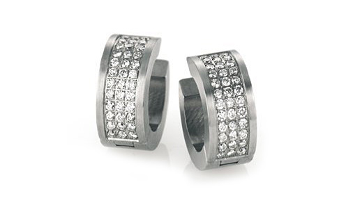  Stainless Steel / Titanium Earring / Rings (Stainless Steel / Titanium Earring / Anneaux)