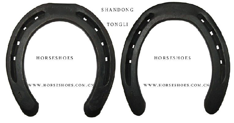  All Riding Horseshoes (Tous les Fers à cheval d`équitation)