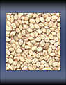  Sesame Seeds (Graines de sésame)