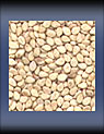  Sesame Seeds ( Sesame Seeds)