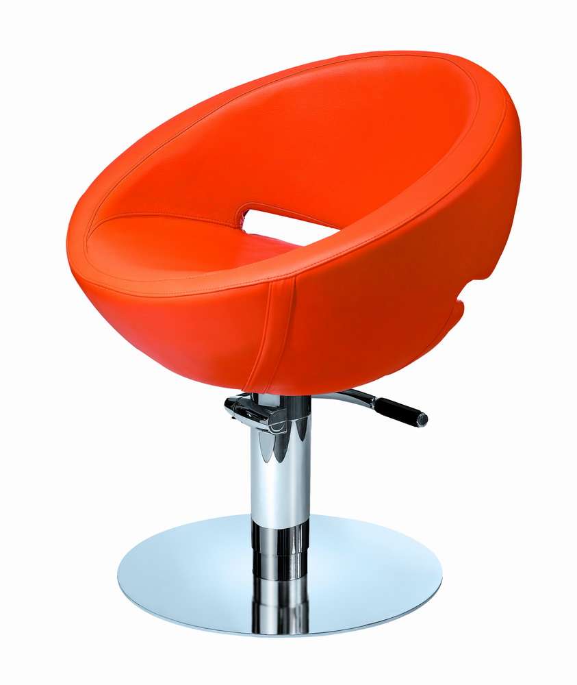  Styling Chair Salon Equipment (Chaise de style Salon Equipment)