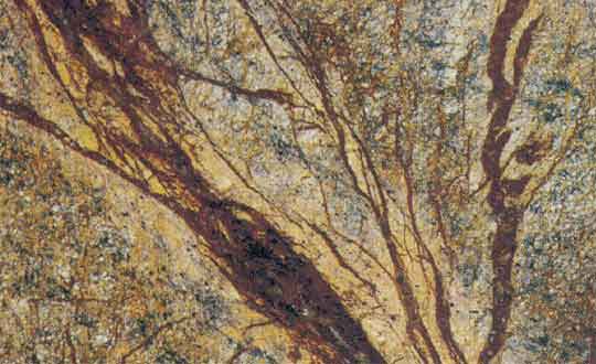  Rain Forest Brown Marble ( Rain Forest Brown Marble)