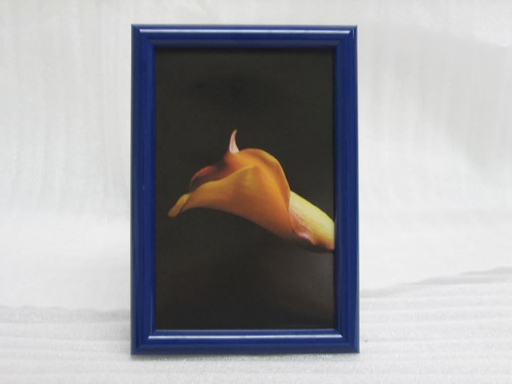 Plastic Frame (Kunststoff-Rahmen)