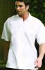  Polo Shirt, T-Shirt, Golf Shirt (Рубашки поло, футболки, рубашки гольф)