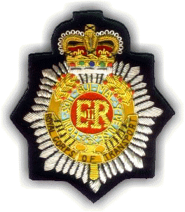  Badges (Значки)