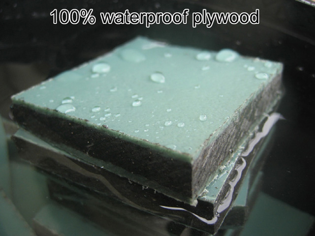  Plywood(100% Waterproof ) (Contreplaqué (100% étanche))