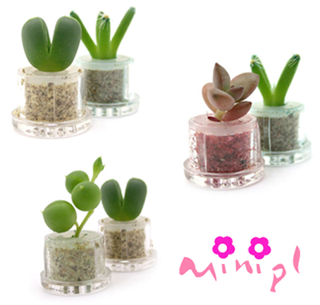  Mini Plant (Мини-завод)