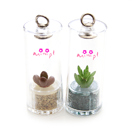  A Living Miniature Plant In Plastic Capsule