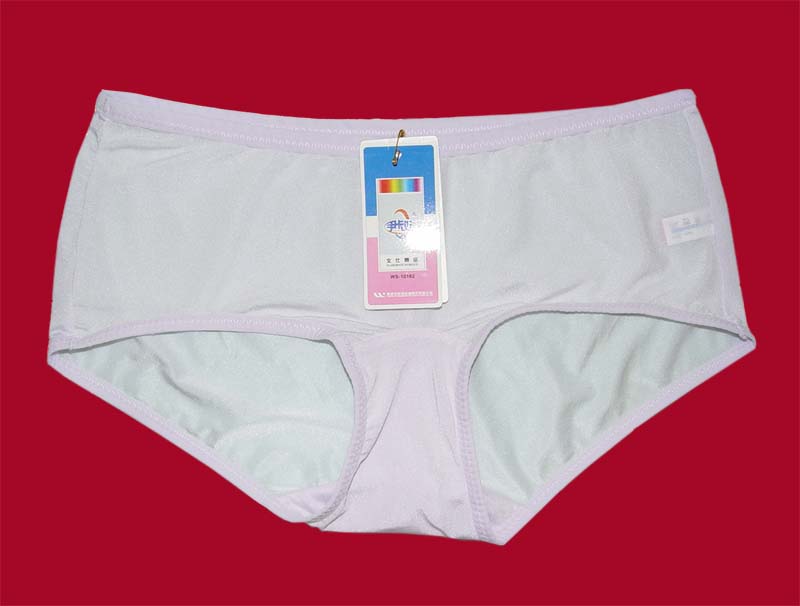  Briefs