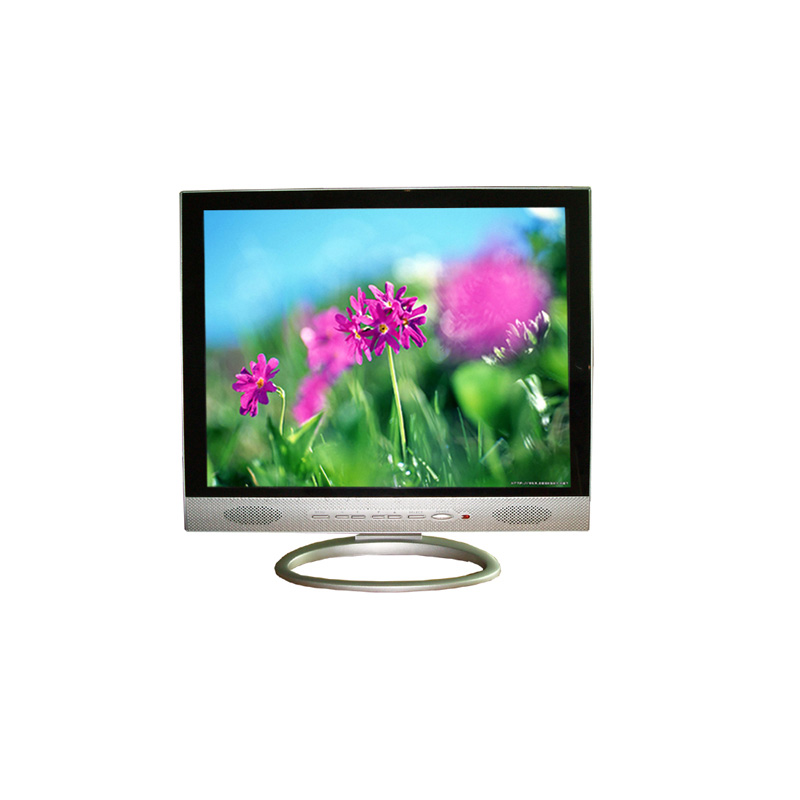  19 LCD Monitor