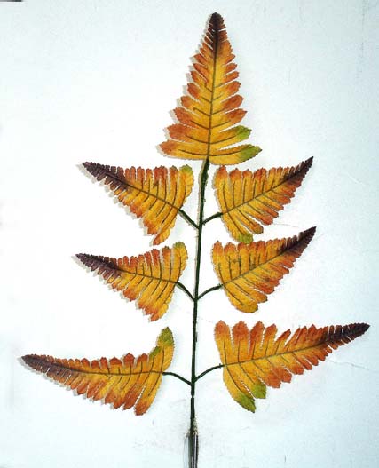  Artificial Leafage For Decoration