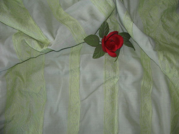  Cotton Voile Fabric With Tricot Lace (Tissu de coton voile avec Tricot dentelle)