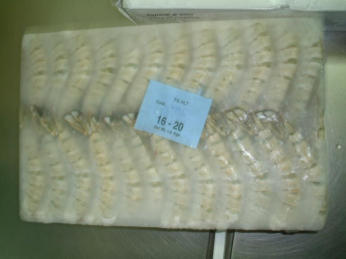  Seawater, Black Tiger Shrimp