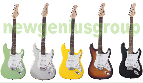  Seg Electric Guitar ( Seg Electric Guitar)