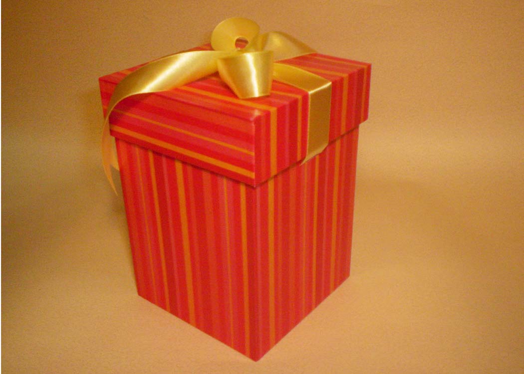  Rigid Paper Gift Box (Rigid Paper Geschenkbox)