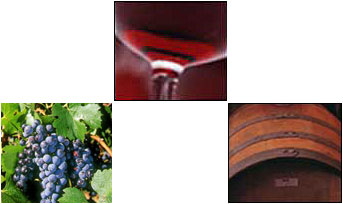  Fine Wines From Uruguay Red, Rose And White Wines (Вина из Уругвая красных, розовых и белых вин)