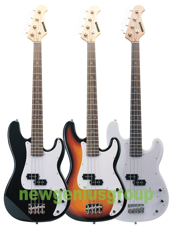  Bass Guitar ( Bass Guitar)