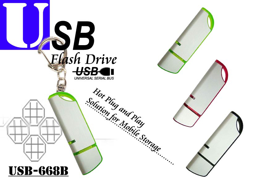  USB Flash Drive (USB Flash Drive)