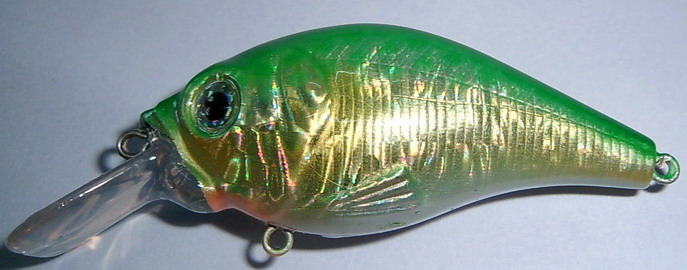  Fishing Lure