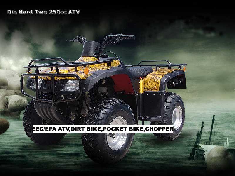  47cc Pocket Bike