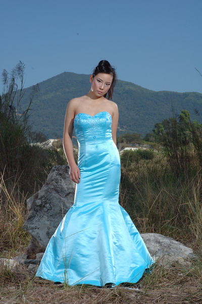  Evening Gown ( Evening Gown)