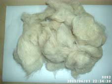  Carpet Wool, Carpet Raw Wool, Wool Waste (Tapis de laine, tapis laine brute, les déchets de laine)