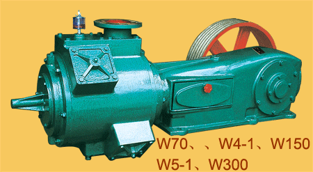  Reciprocating Vacuum Pump ( W70 )