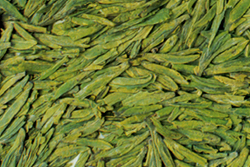  Green Teas (Thés verts)