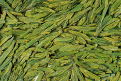  Green Teas