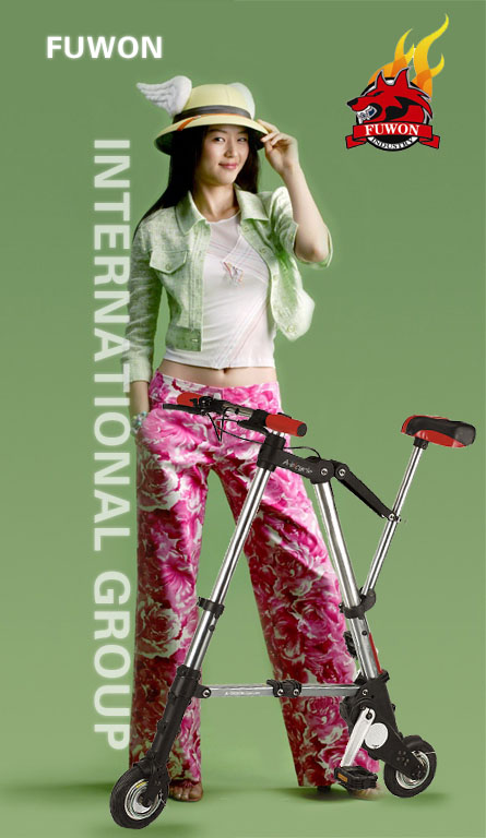  A-Bike Bag Bicycles Foldaway A Bike ( A-Bike Bag Bicycles Foldaway A Bike)