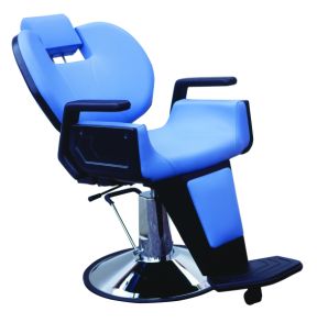  Barber Salon Chairs ( Barber Salon Chairs)