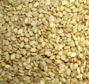  Sesame Seeds