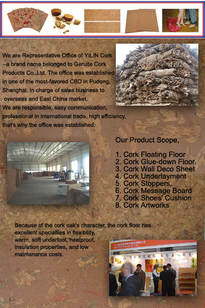  Cork Floor Tile ( Cork Floor Tile)
