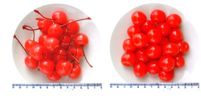  Canned Cherry ( Canned Cherry)