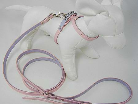  Dog Product (Stock Clearing)