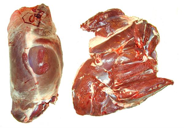 Rentier, Elch (Elk) Fleisch und andere Hirschfleisch (Rentier, Elch (Elk) Fleisch und andere Hirschfleisch)