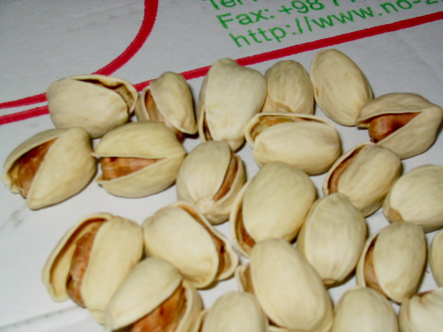  Mechanical Open Pistachio (Mechanical Open pistache)