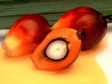 Palm Oil (Palm Oil)