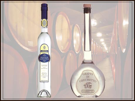 Italienischen Grappa (Italienischen Grappa)
