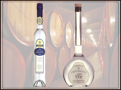  Italian Grappa