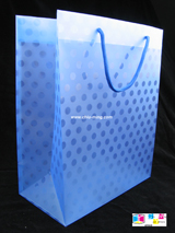  PVC Heat-seal Bag (PVC thermosou Bag)