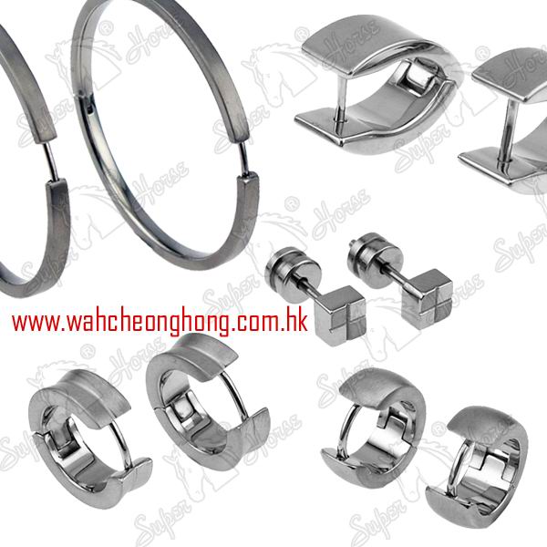  Stainless Steel & Titanium Earring ( Stainless Steel & Titanium Earring)
