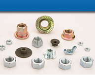  Hex Nuts (Hex Nuts)
