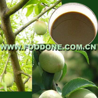  Greengage Juice Concentrate ( Greengage Juice Concentrate)