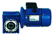  Worm Gear Motor (Worm Gear Motor)