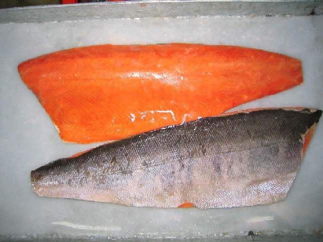  Chum Salmon Fillets (Filets de saumon kéta)