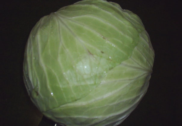  Cabbage ( Cabbage)