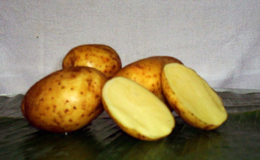  Potatoes (Pommes de terre)