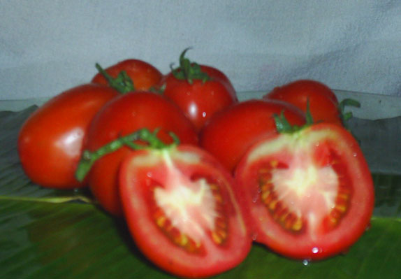  Tomato (Tomate)